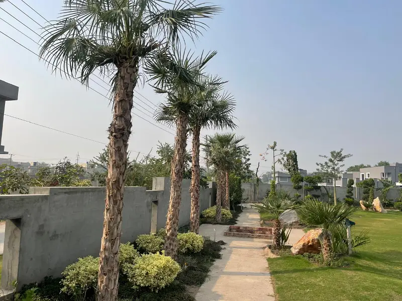 Farm House For Sale Gray Stucture ready At Main Bedian Road Lahore